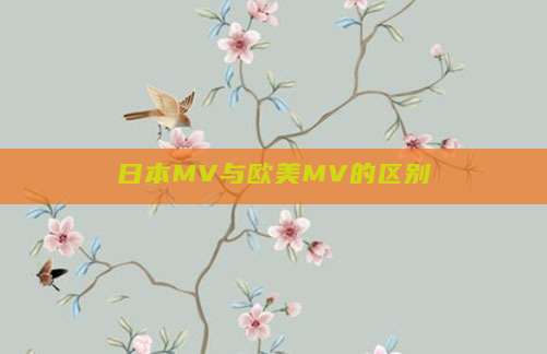 日本MV与欧美MV的区别